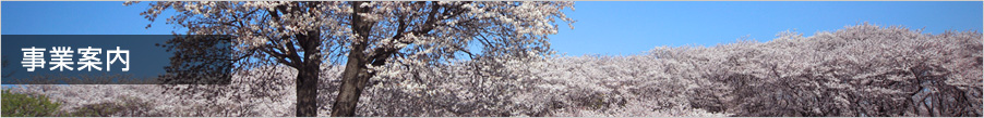 事業内容