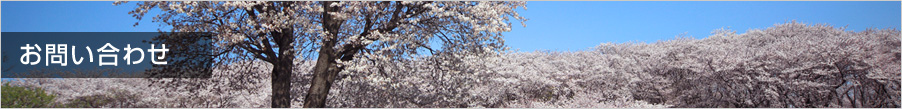 お問い合わせ